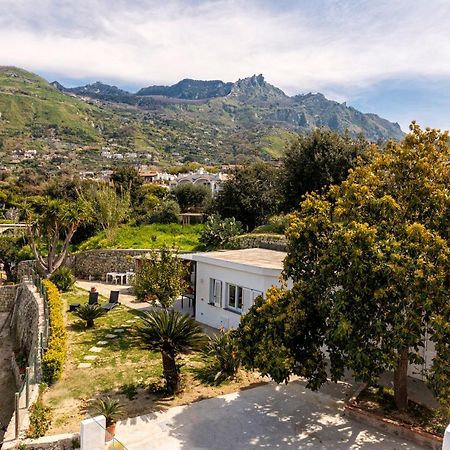 Villa Casa Yucca Forio di Ischia Exterior foto