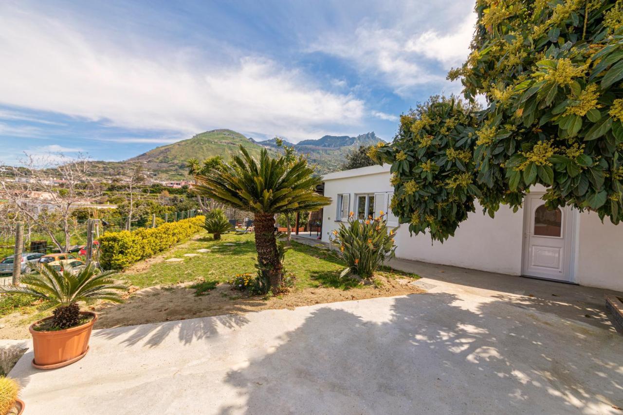 Villa Casa Yucca Forio di Ischia Exterior foto