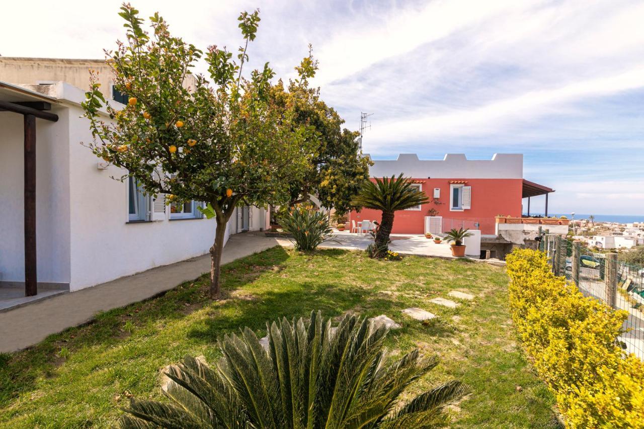Villa Casa Yucca Forio di Ischia Exterior foto