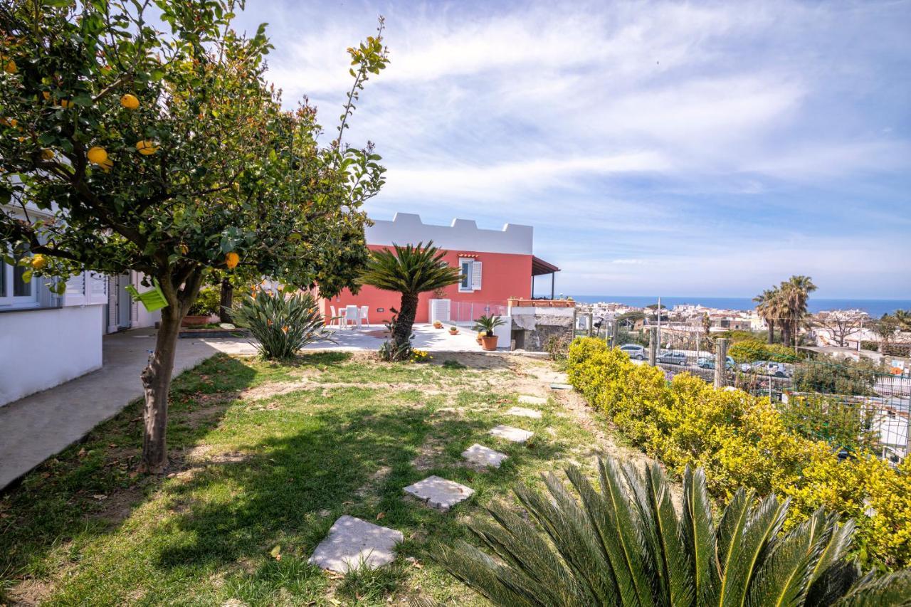 Villa Casa Yucca Forio di Ischia Exterior foto
